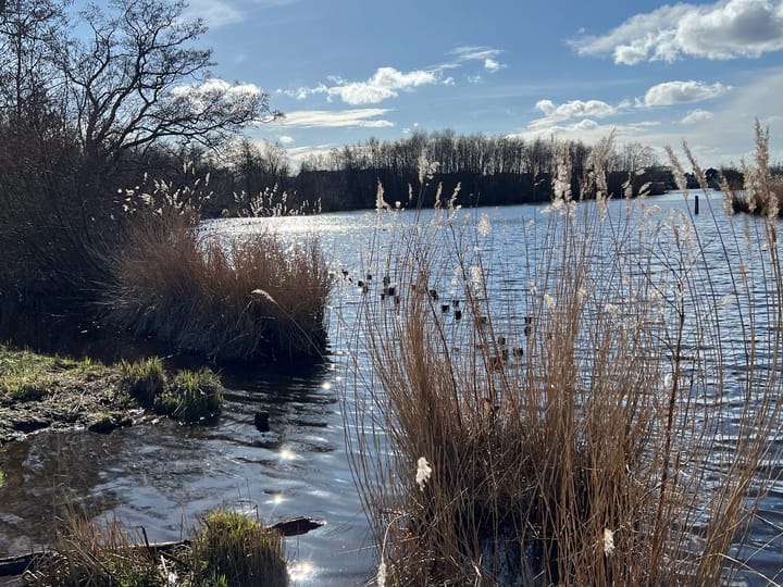 Foto 62 van Van Koetsveldstraat 6