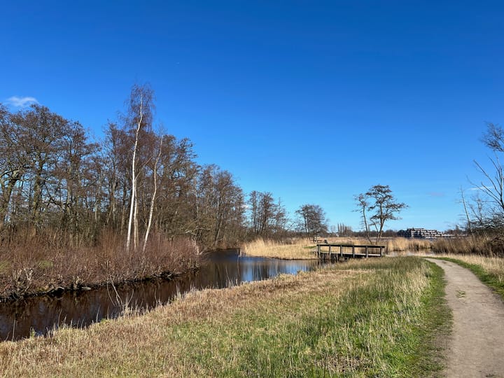 Foto 63 van Van Koetsveldstraat 6