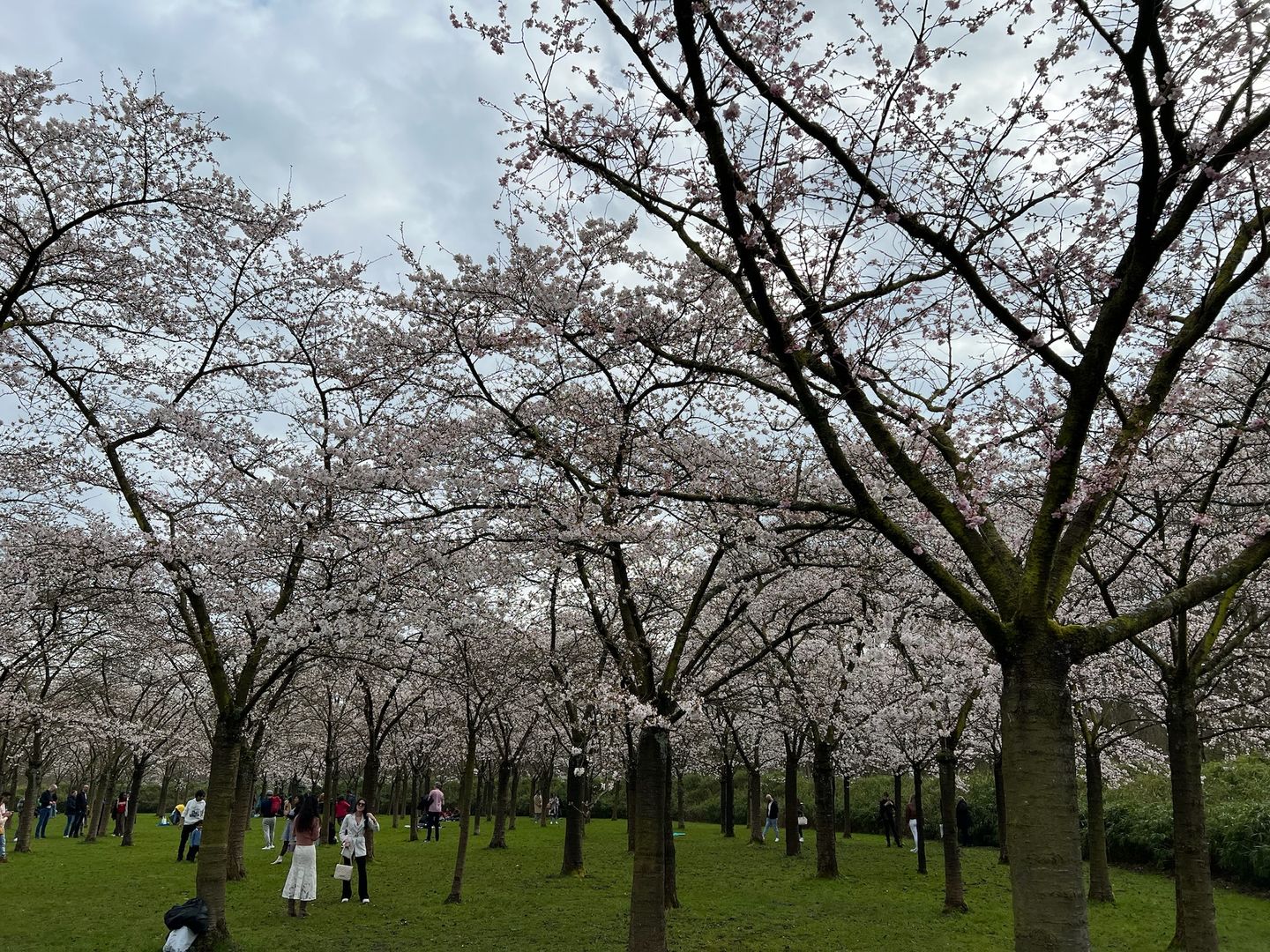 Foto 64 van Van Koetsveldstraat 6