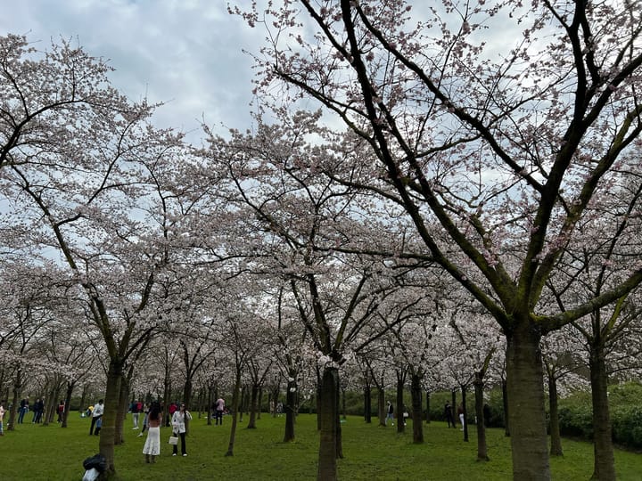 Foto 64 van Van Koetsveldstraat 6