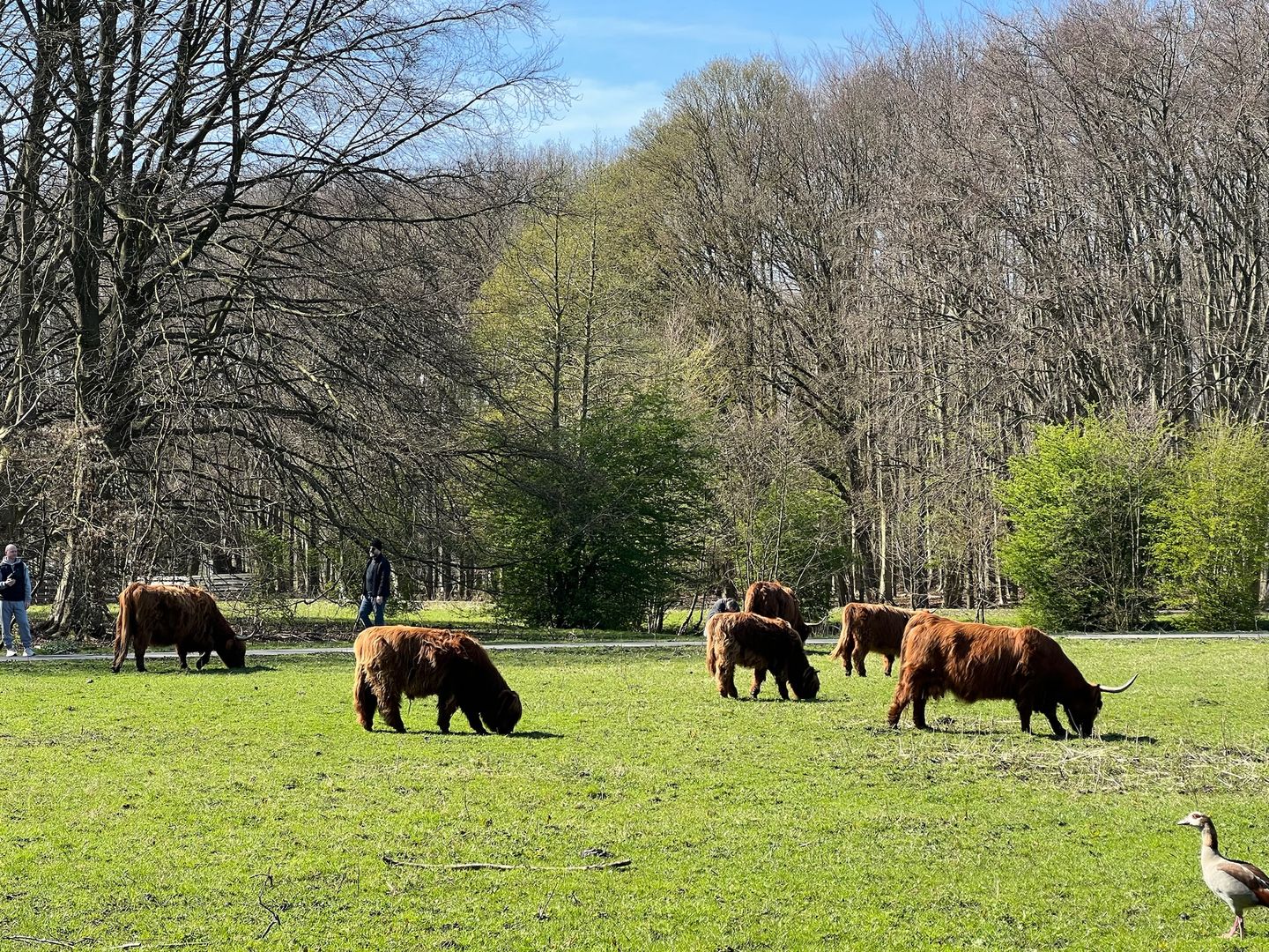 Foto 65 van Van Koetsveldstraat 6