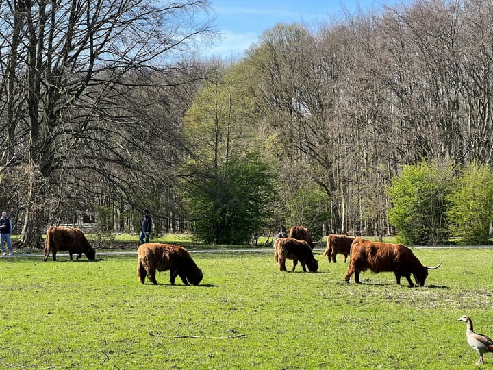 Foto 65 van Van Koetsveldstraat 6