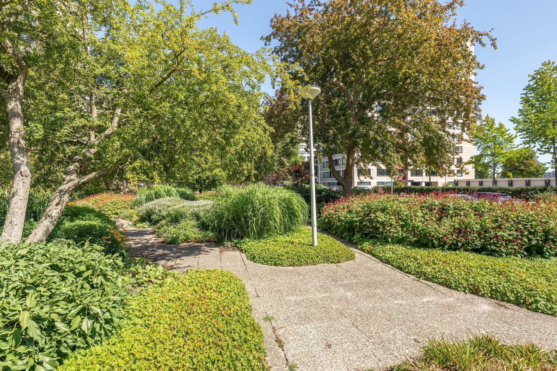 Foto 36 van Ruimzicht 41