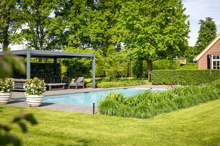 Foto 6 van Dennendijk 6