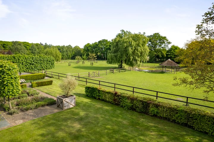 Foto 7 van Dennendijk 6