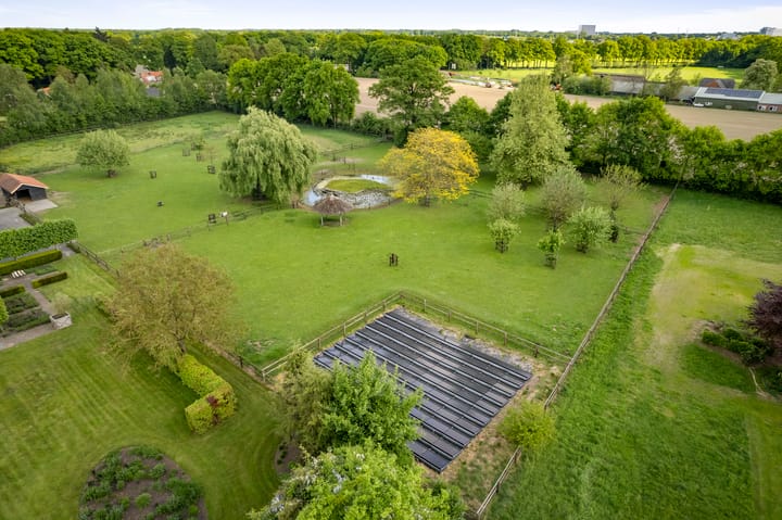 Foto 12 van Dennendijk 6