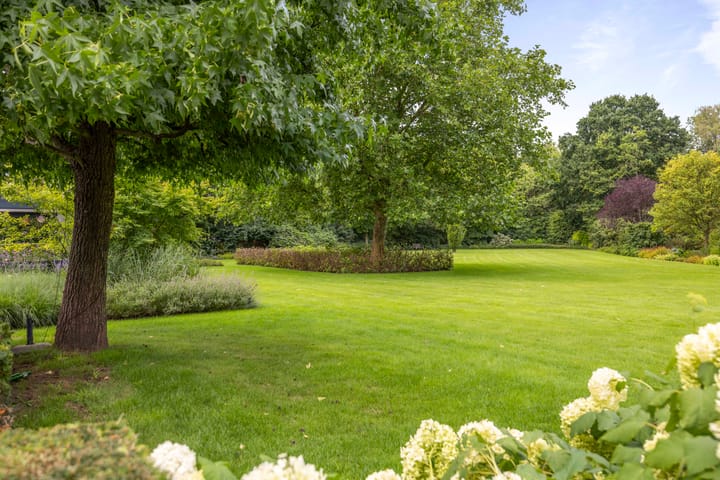 Foto 24 van Dennendijk 6