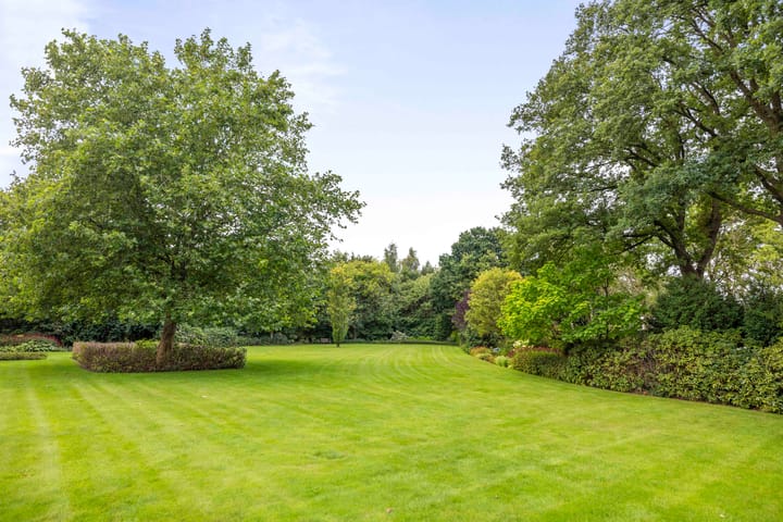 Foto 25 van Dennendijk 6