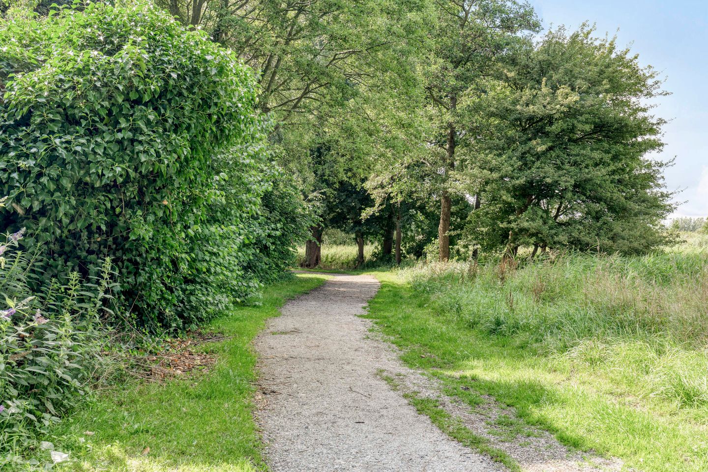 Photo 44 of Turfakker 11