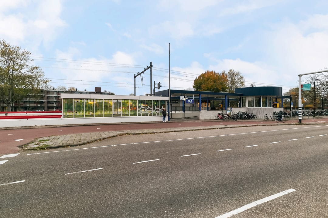 Photo 46 of Turfakker 11