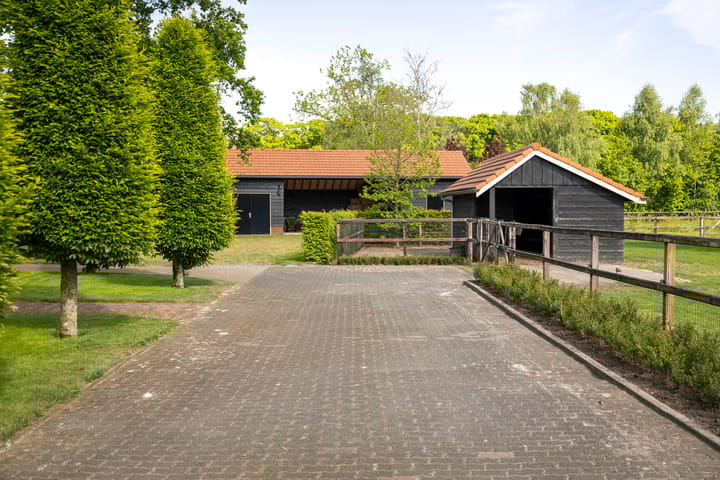 Foto 61 van Dennendijk 6