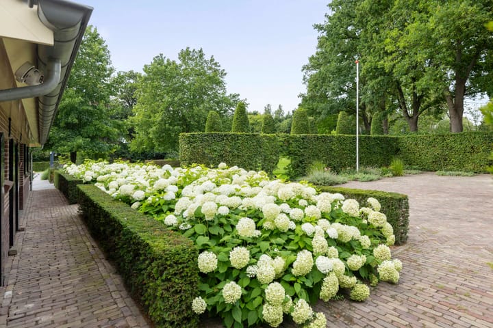 Foto 68 van Dennendijk 6