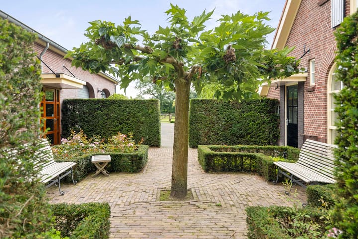 Foto 69 van Dennendijk 6