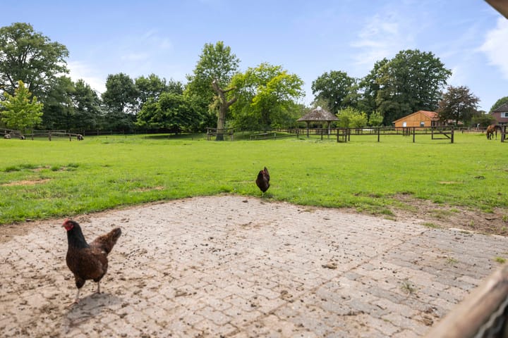 Foto 85 van Dennendijk 6