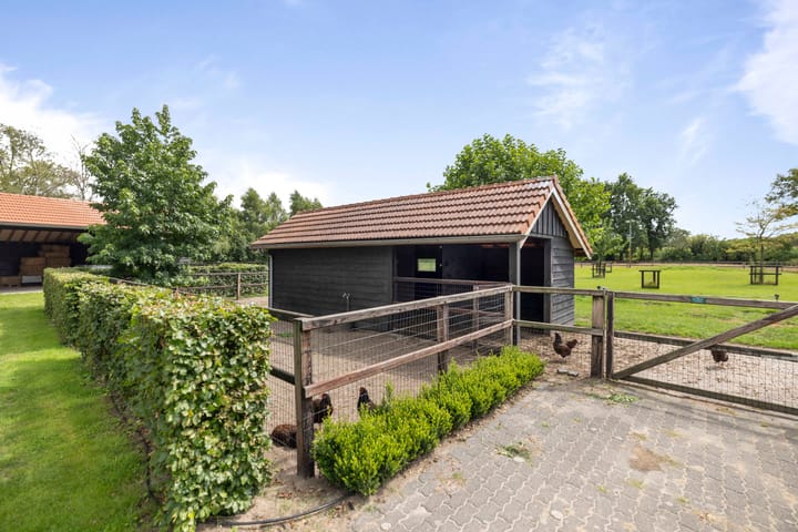 Foto 86 van Dennendijk 6