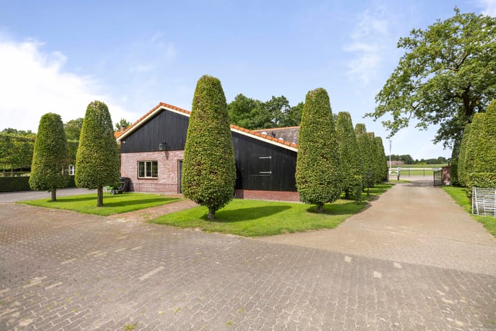 Foto 87 van Dennendijk 6