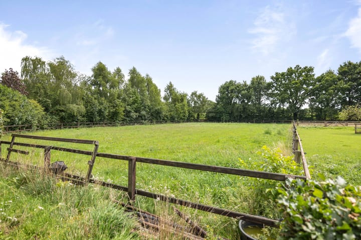 Foto 88 van Dennendijk 6