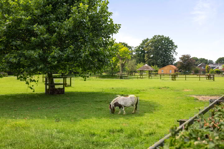 Foto 89 van Dennendijk 6