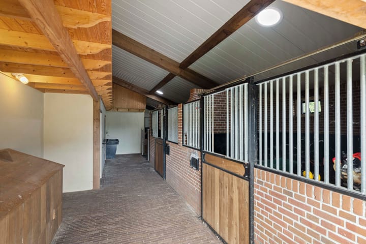 Foto 90 van Dennendijk 6