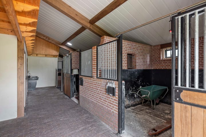 Foto 92 van Dennendijk 6