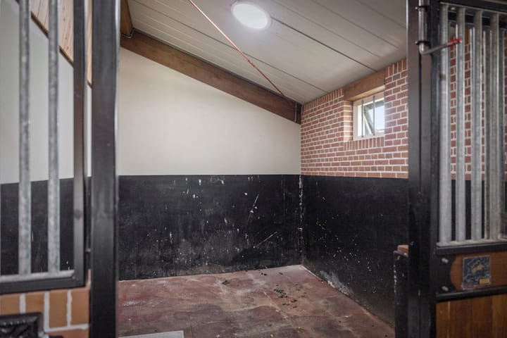 Foto 95 van Dennendijk 6