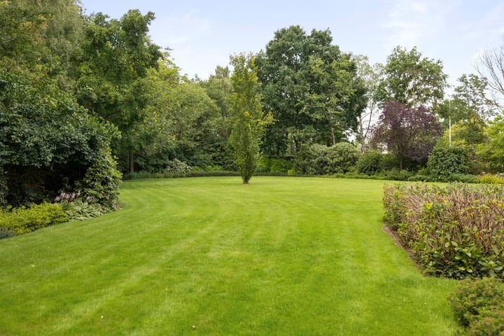 Foto 97 van Dennendijk 6