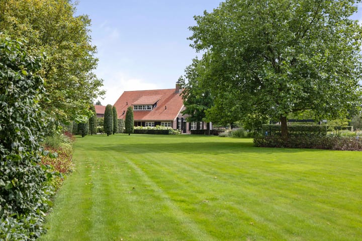 Foto 98 van Dennendijk 6