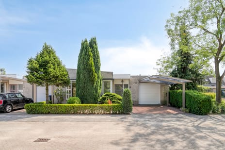 undefined main image