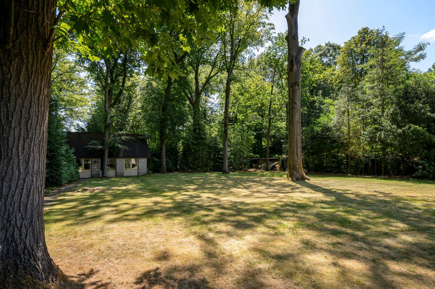 Photo 34 of Staatsbaan 7