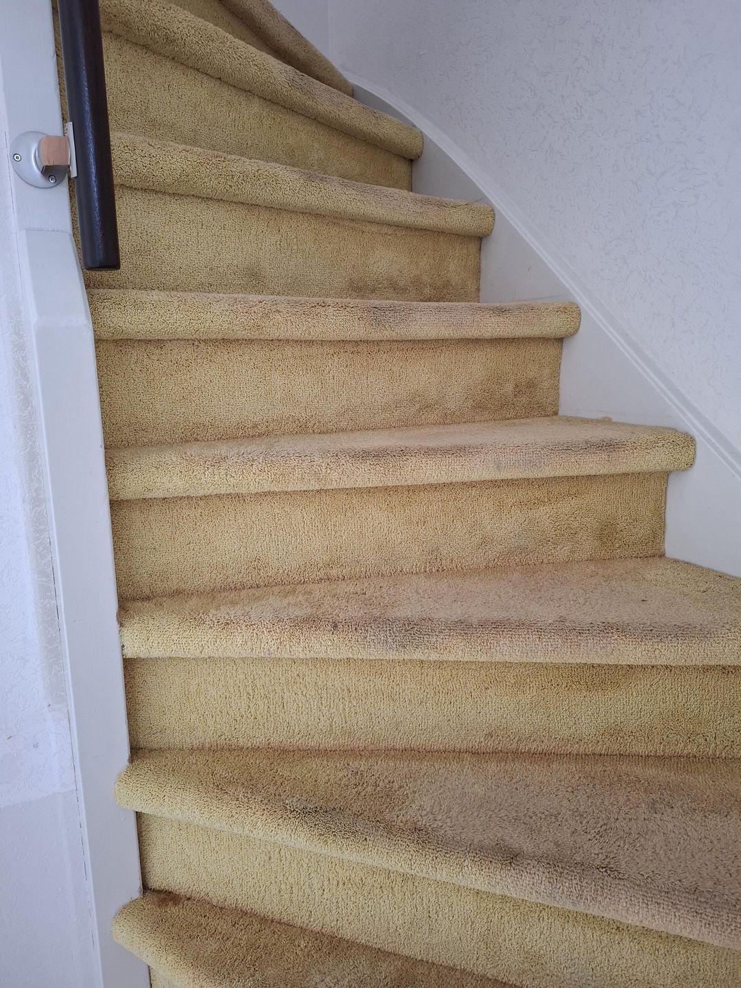 Photo 8 of Ebrostraat 74