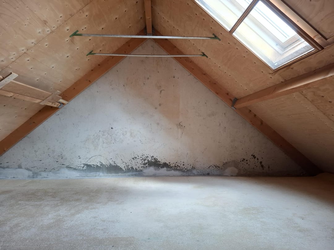 Photo 11 of Ebrostraat 74