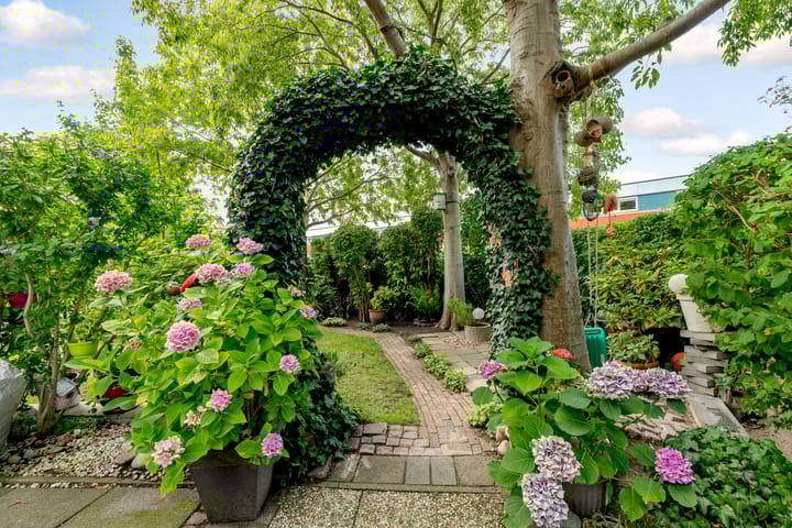 Foto 30 van Jol 23 13