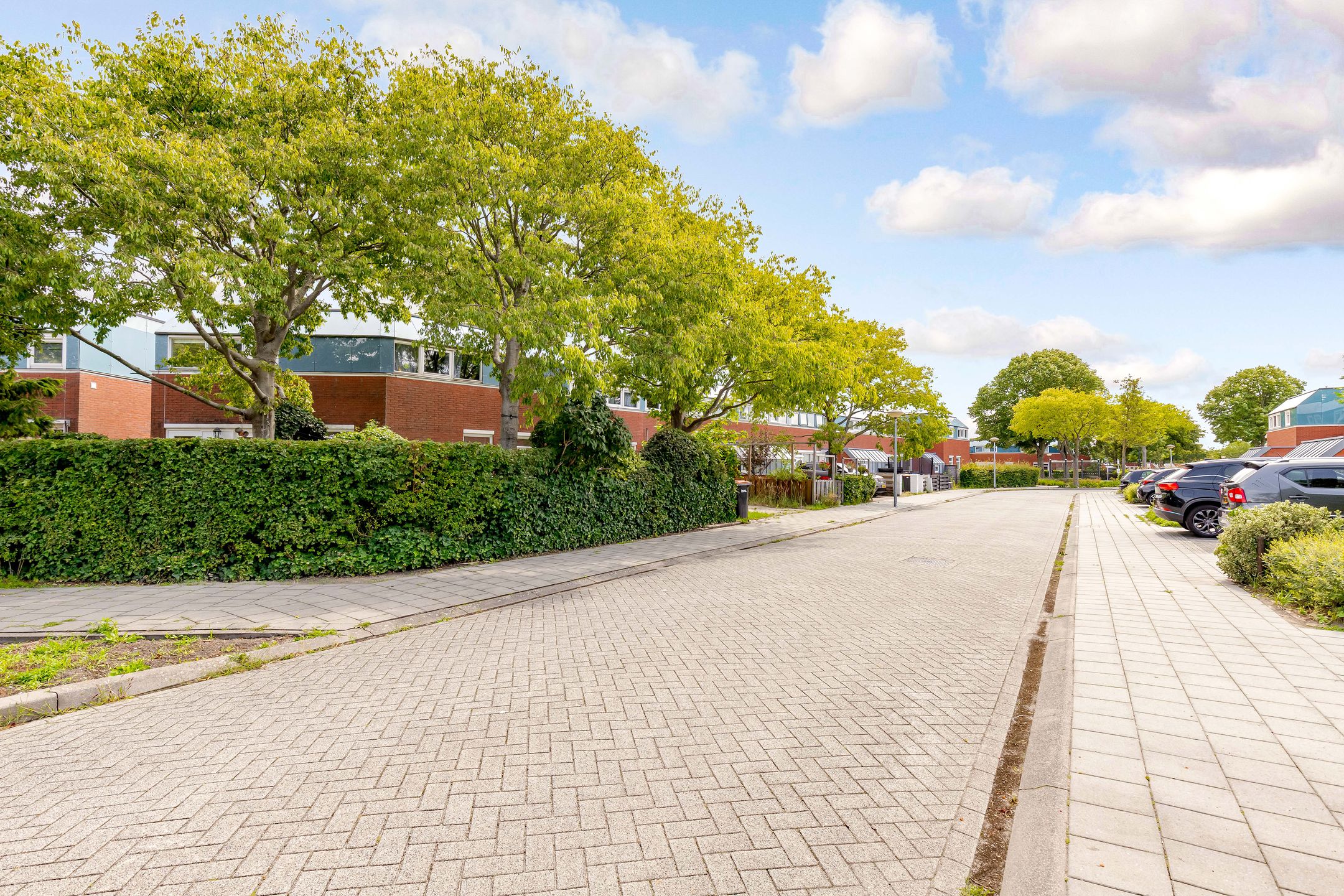 Foto 36 van Jol 23 13