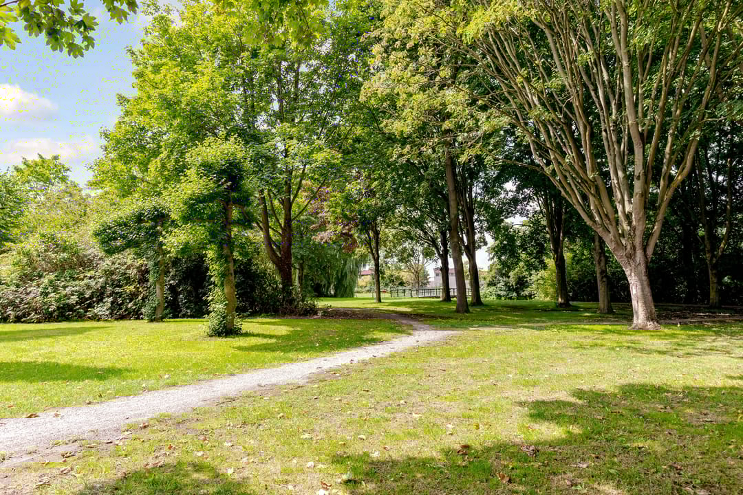 Foto 38 van Jol 23 13