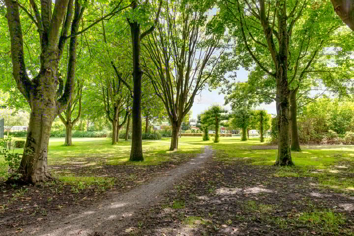 Foto 39 van Jol 23 13