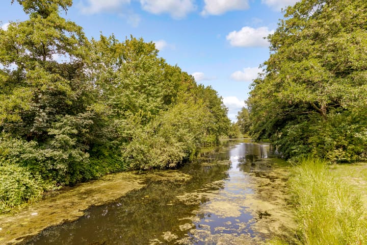 Foto 41 van Jol 23 13