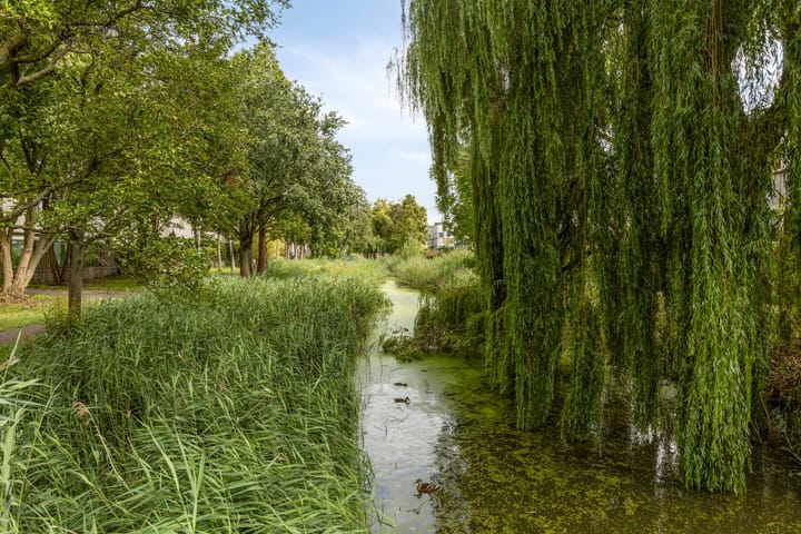 Foto 36 van Le Tourmalet 24