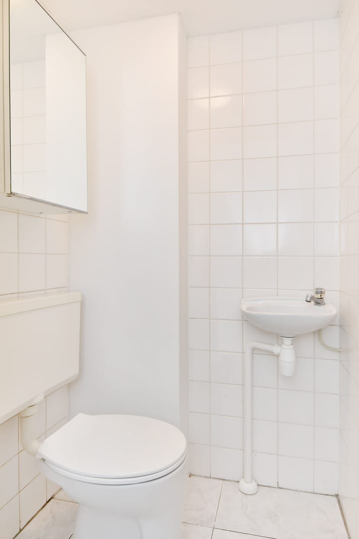 Foto 8 van Weidemolen 17