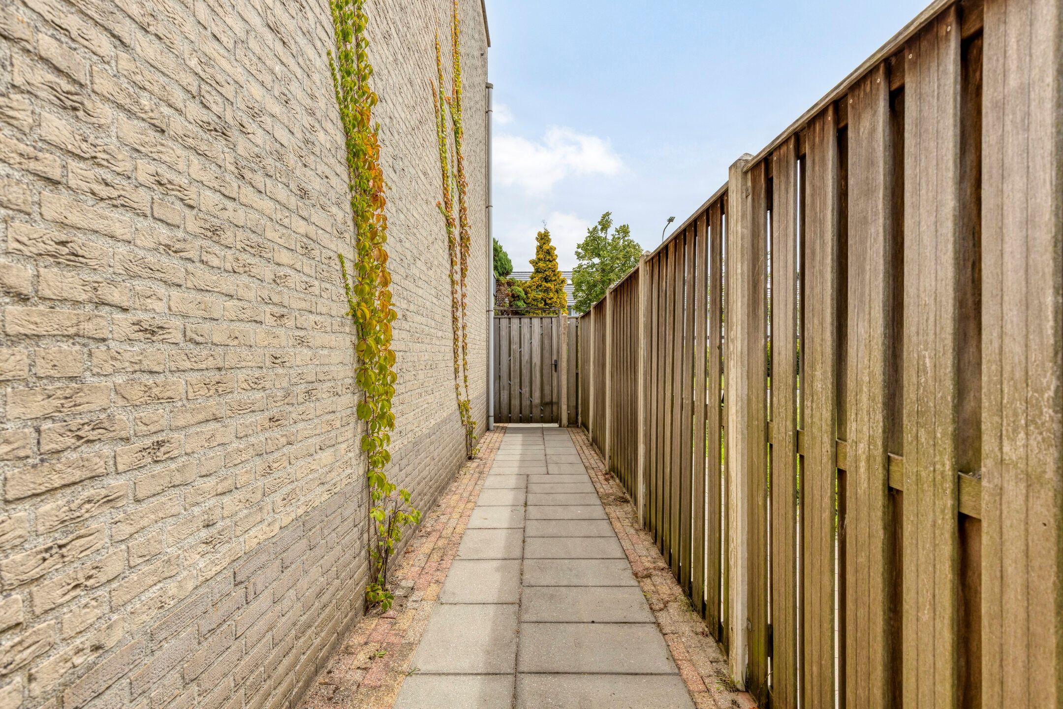 Foto 36 van Thorbeckelaan 27