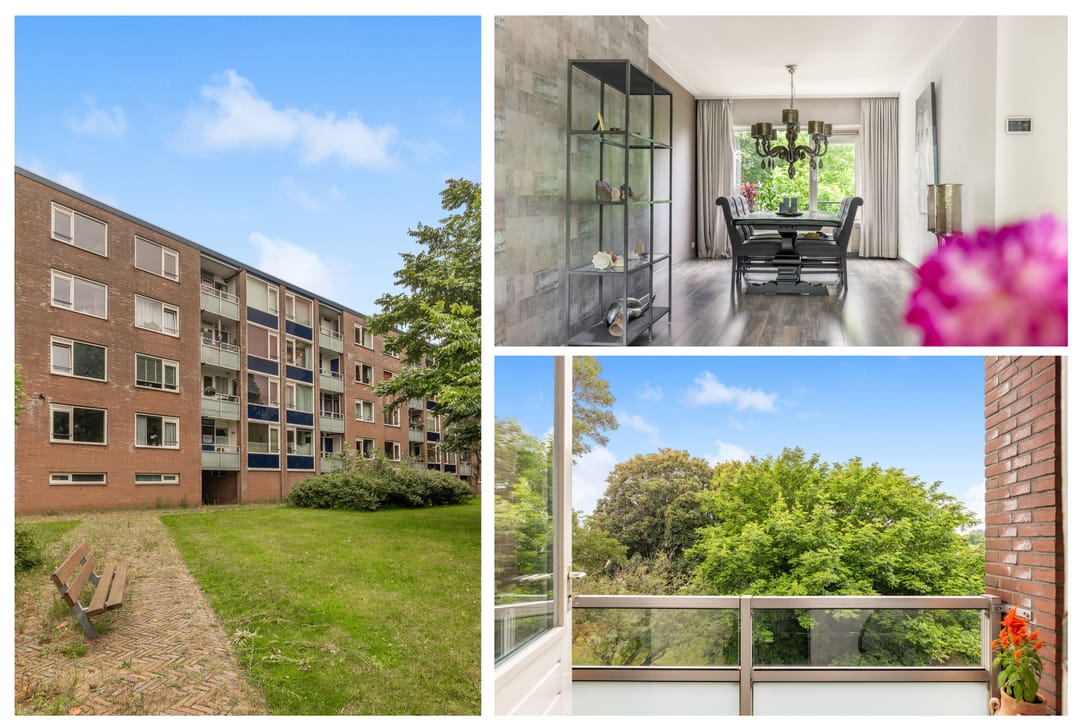 Foto 2 van Laan van Blois 54