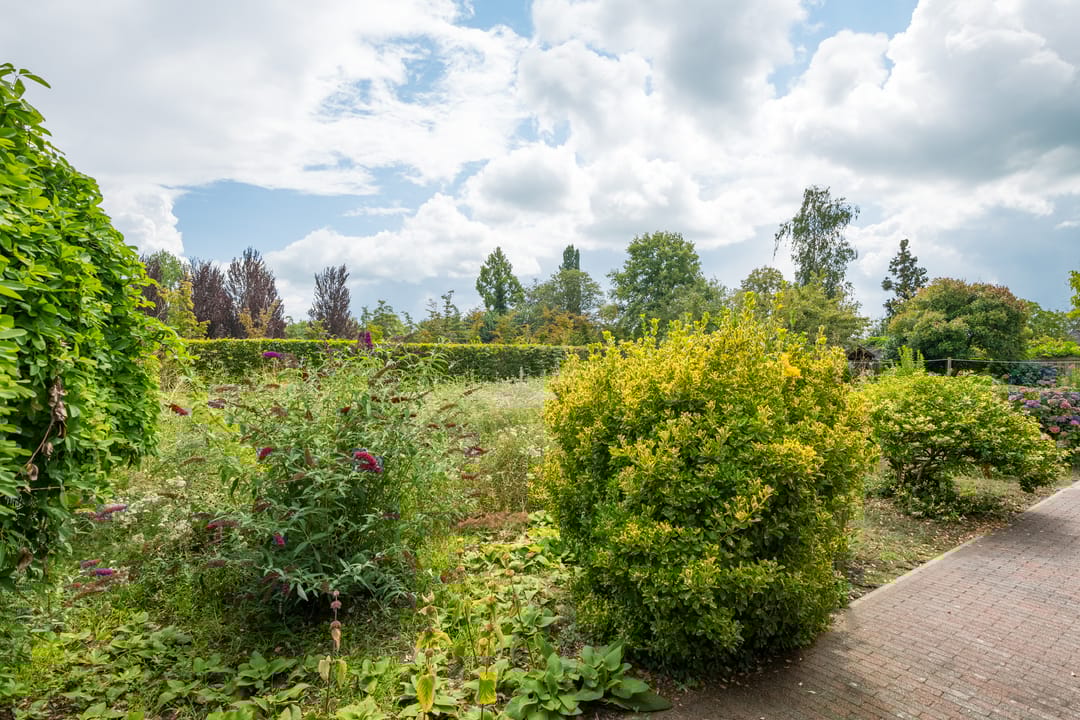 Photo 41 of Houtdreef 28