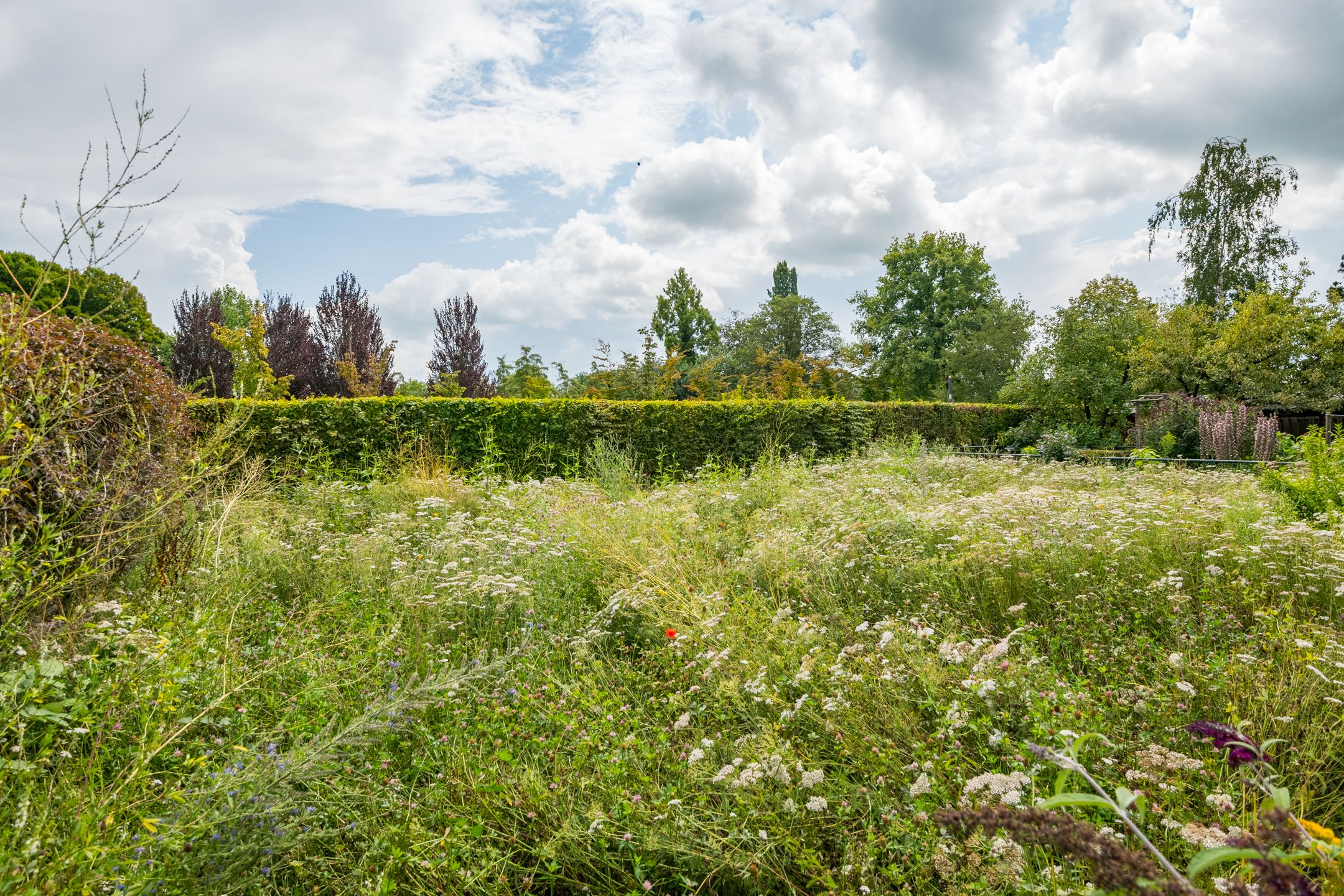 Photo 42 of Houtdreef 28