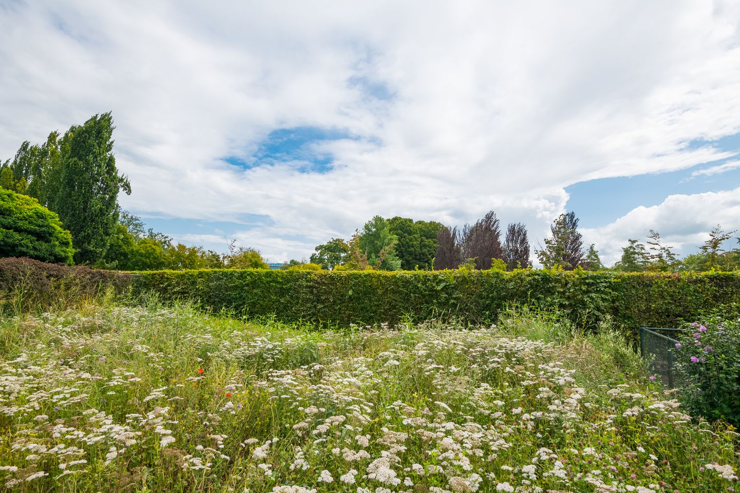 Photo 44 of Houtdreef 28