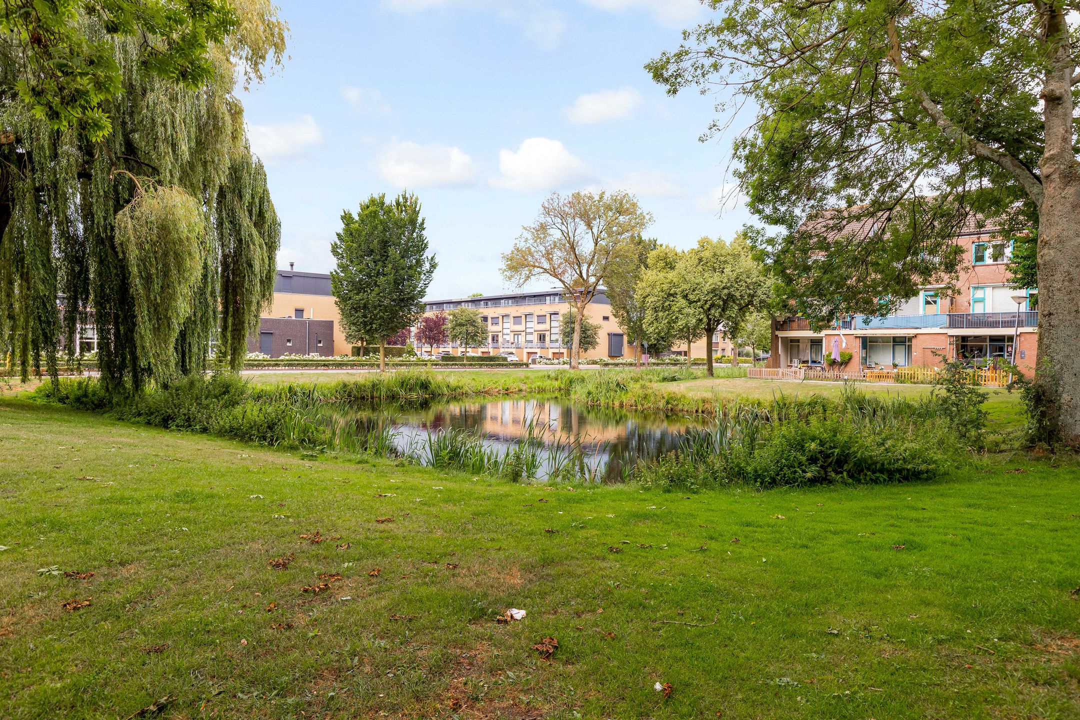 Foto 36 van Talmastraat 10