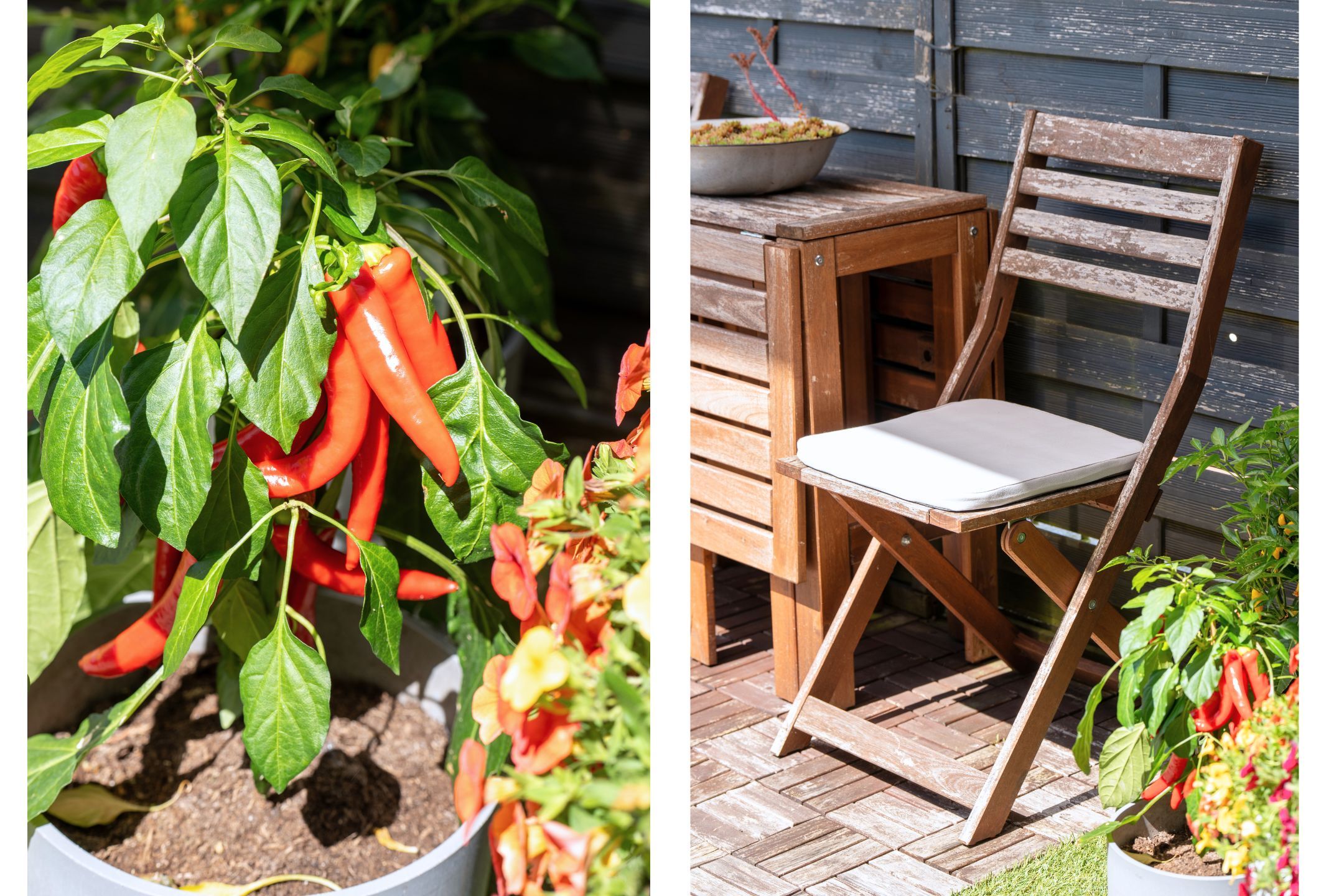 Foto 27 van Tramsingel 95-C8