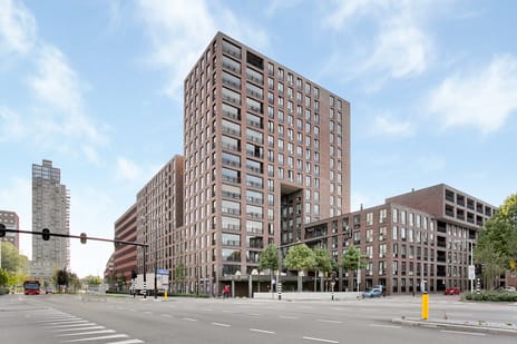 Buxusplaats thumbnail