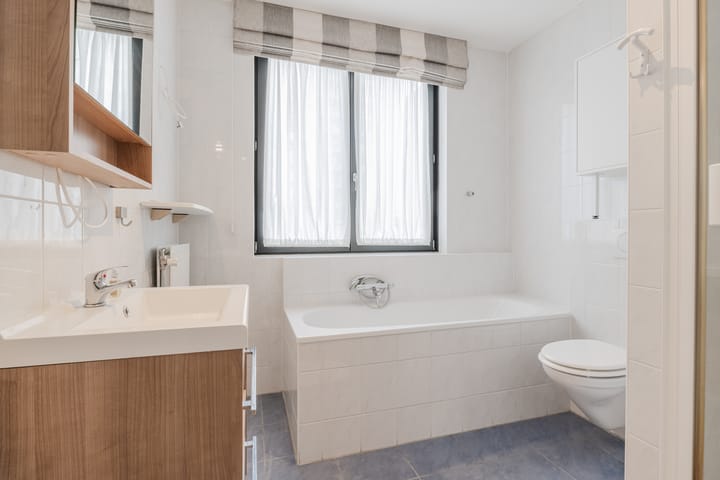 Foto 12 van Buxusplaats 95