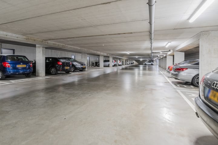 Foto 17 van Buxusplaats 95