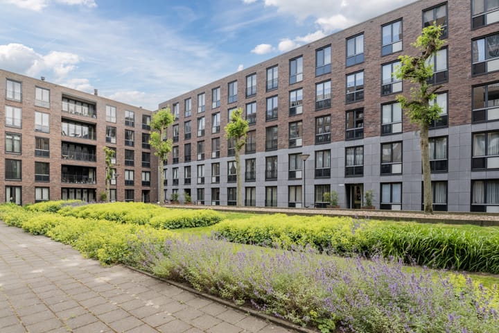 Foto 19 van Buxusplaats 95