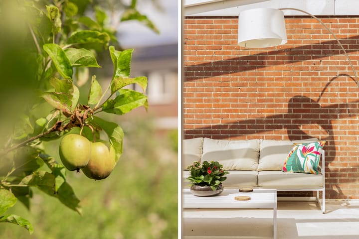 Foto 28 van Johannes Doornbosstrjitte 4